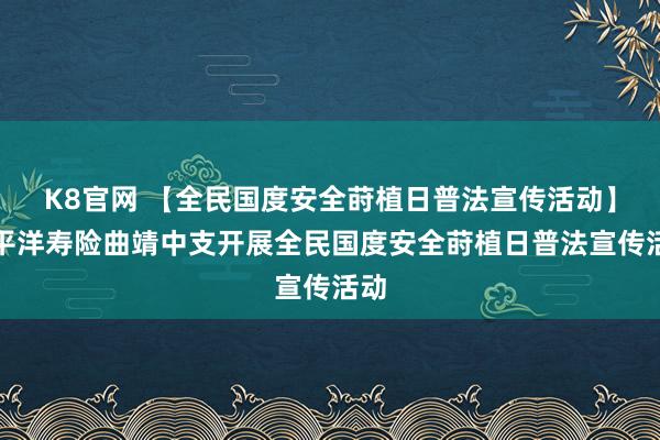 K8官网 【全民国度安全莳植日普法宣传活动】太平洋寿险曲靖中支开展全民国度安全莳植日普法宣传活动