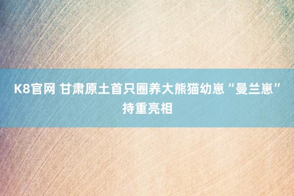 K8官网 甘肃原土首只圈养大熊猫幼崽“曼兰崽”持重亮相