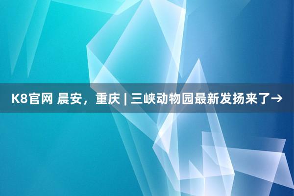K8官网 晨安，重庆 | 三峡动物园最新发扬来了→