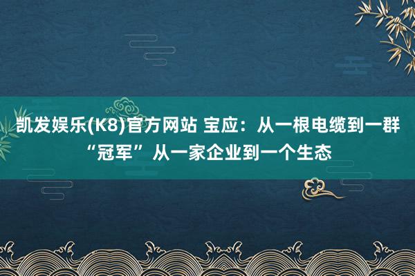 凯发娱乐(K8)官方网站 宝应：从一根电缆到一群“冠军” 从一家企业到一个生态