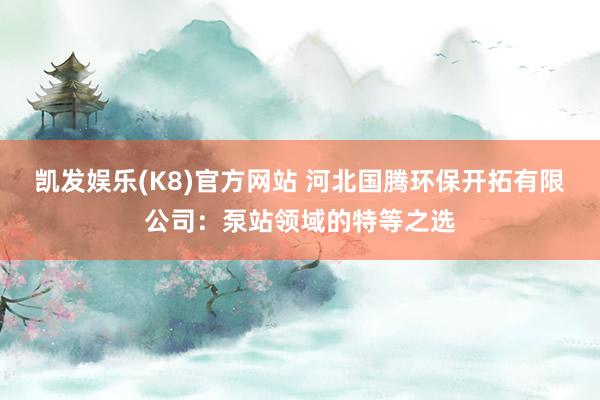 凯发娱乐(K8)官方网站 河北国腾环保开拓有限公司：泵站领域的特等之选