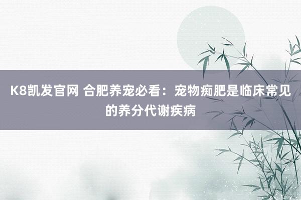 K8凯发官网 合肥养宠必看：宠物痴肥是临床常见的养分代谢疾病