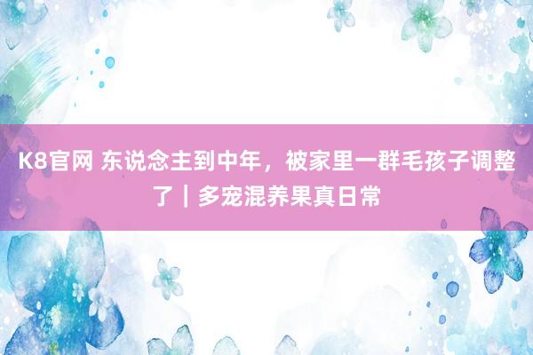 K8官网 东说念主到中年，被家里一群毛孩子调整了｜多宠混养果真日常