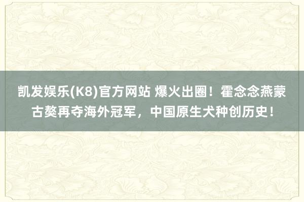凯发娱乐(K8)官方网站 爆火出圈！霍念念燕蒙古獒再夺海外冠军，中国原生犬种创历史！