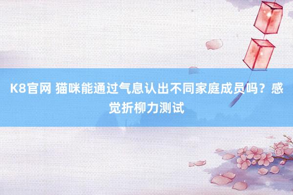 K8官网 猫咪能通过气息认出不同家庭成员吗？感觉折柳力测试