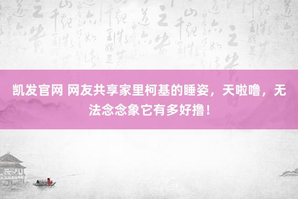 凯发官网 网友共享家里柯基的睡姿，天啦噜，无法念念象它有多好撸！