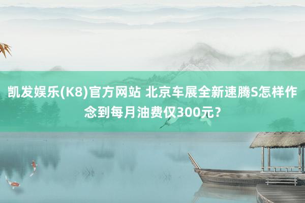 凯发娱乐(K8)官方网站 北京车展全新速腾S怎样作念到每月油费仅300元？
