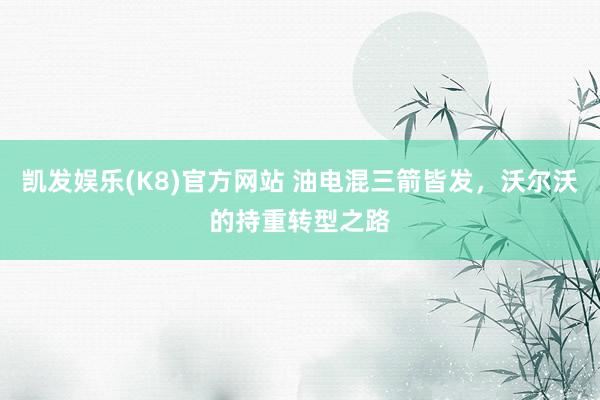 凯发娱乐(K8)官方网站 油电混三箭皆发，沃尔沃的持重转型之路