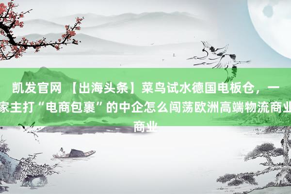 凯发官网 【出海头条】菜鸟试水德国电板仓，一家主打“电商包裹”的中企怎么闯荡欧洲高端物流商业