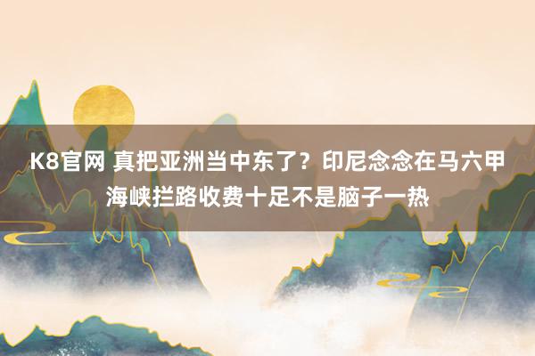 K8官网 真把亚洲当中东了？印尼念念在马六甲海峡拦路收费十足不是脑子一热