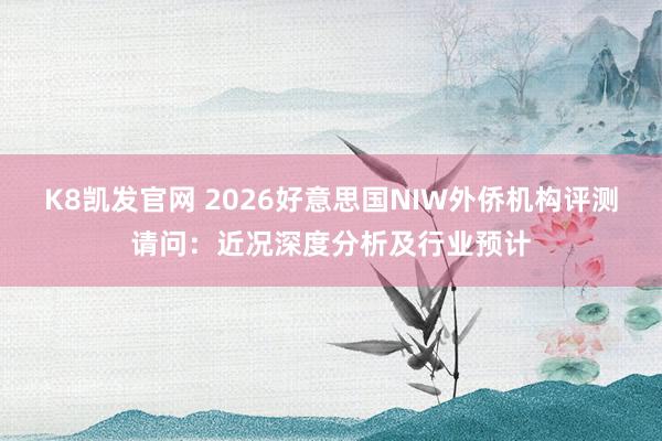 K8凯发官网 2026好意思国NIW外侨机构评测请问：近况深度分析及行业预计