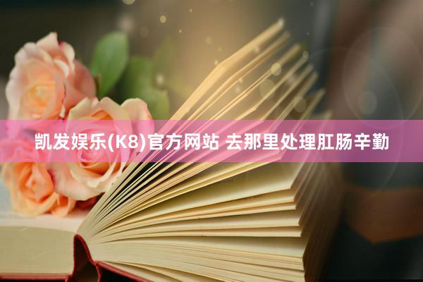 凯发娱乐(K8)官方网站 去那里处理肛肠辛勤
