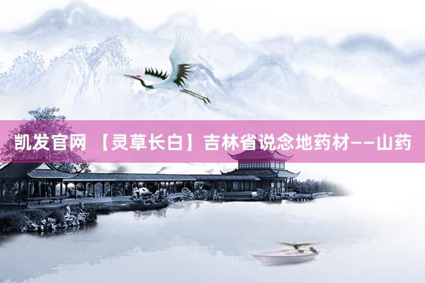 凯发官网 【灵草长白】吉林省说念地药材——山药