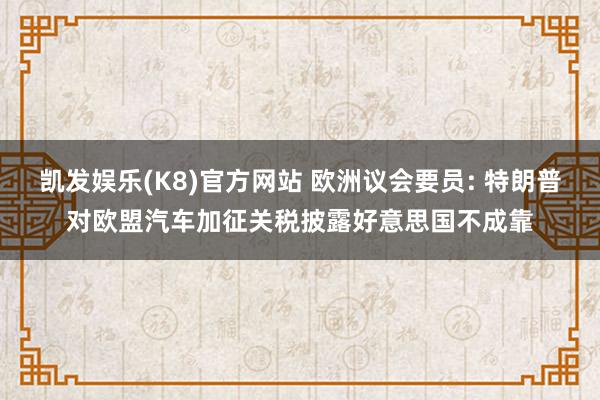 凯发娱乐(K8)官方网站 欧洲议会要员: 特朗普对欧盟汽车加征关税披露好意思国不成靠