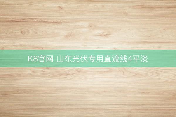 K8官网 山东光伏专用直流线4平淡