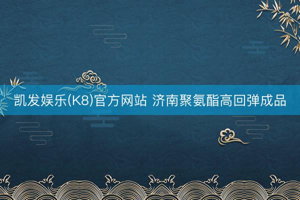凯发娱乐(K8)官方网站 济南聚氨酯高回弹成品